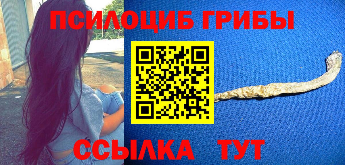 Галлюциногенные грибы мухоморы  Вход с VPN  Северск 