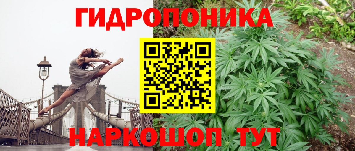 Северск  Бошки марихуана SATIVA & INDICA  Бошки Шишки SATIVA & INDICA  Вход с VPN 